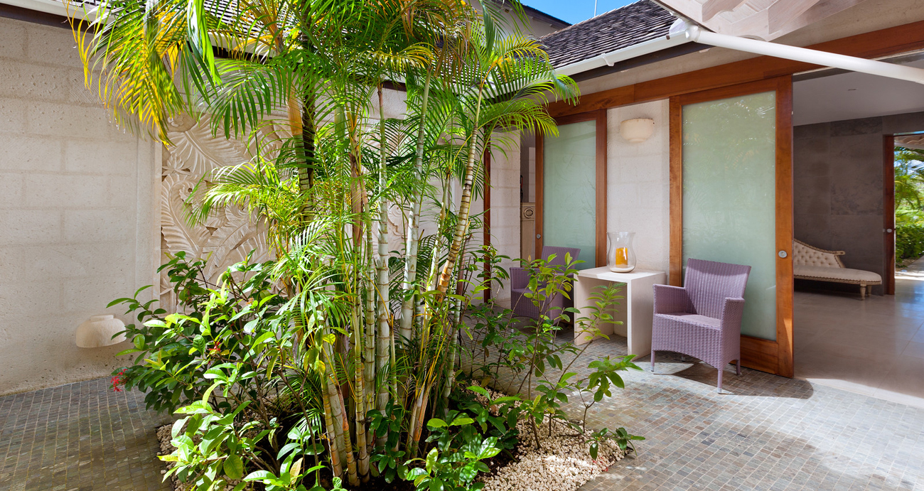 Tom Tom - Fabulous Garden